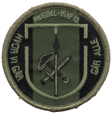 Panseringeniørdelingen ISAF IGDET hold 13  Grøn MIS011